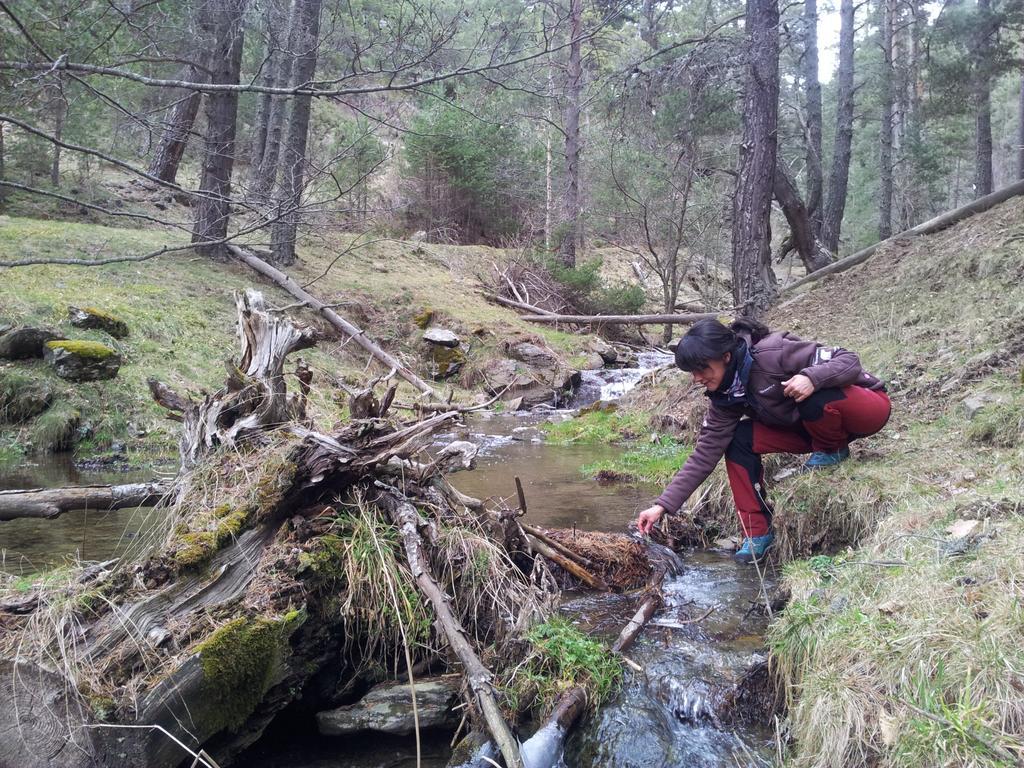 Xalet Refugi Pere Carne Hostel La Molina  Kültér fotó